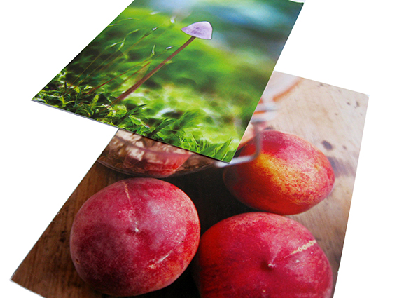 Digital Card Printing